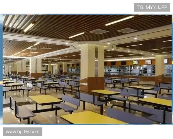 全面升级提亮足球超值套装带来焕新运动体验深度解析全方位指南篇